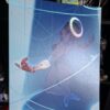Wanderstar / Torment - A4 Holographic Poster